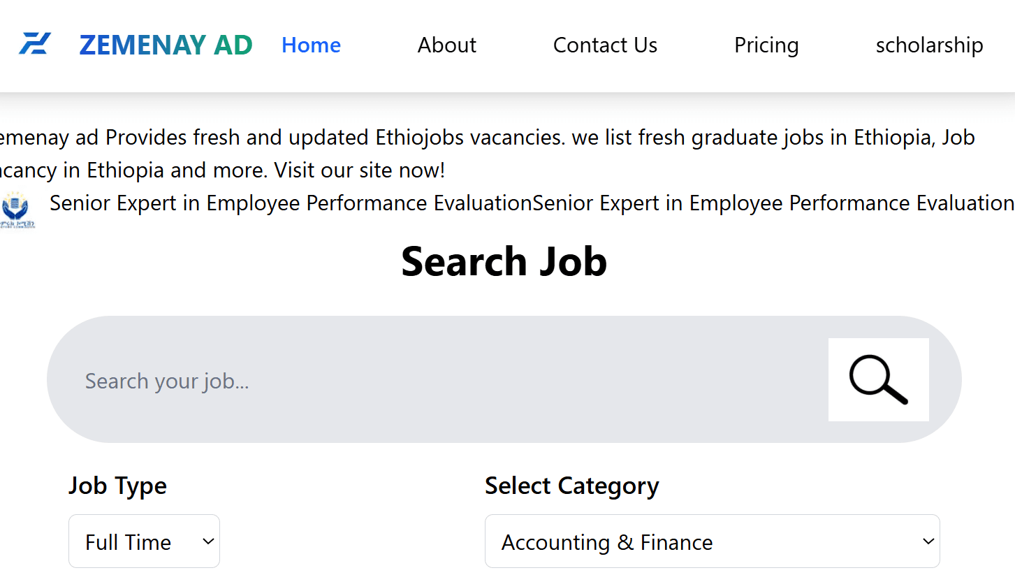 image of the zemenay ed website screenshot